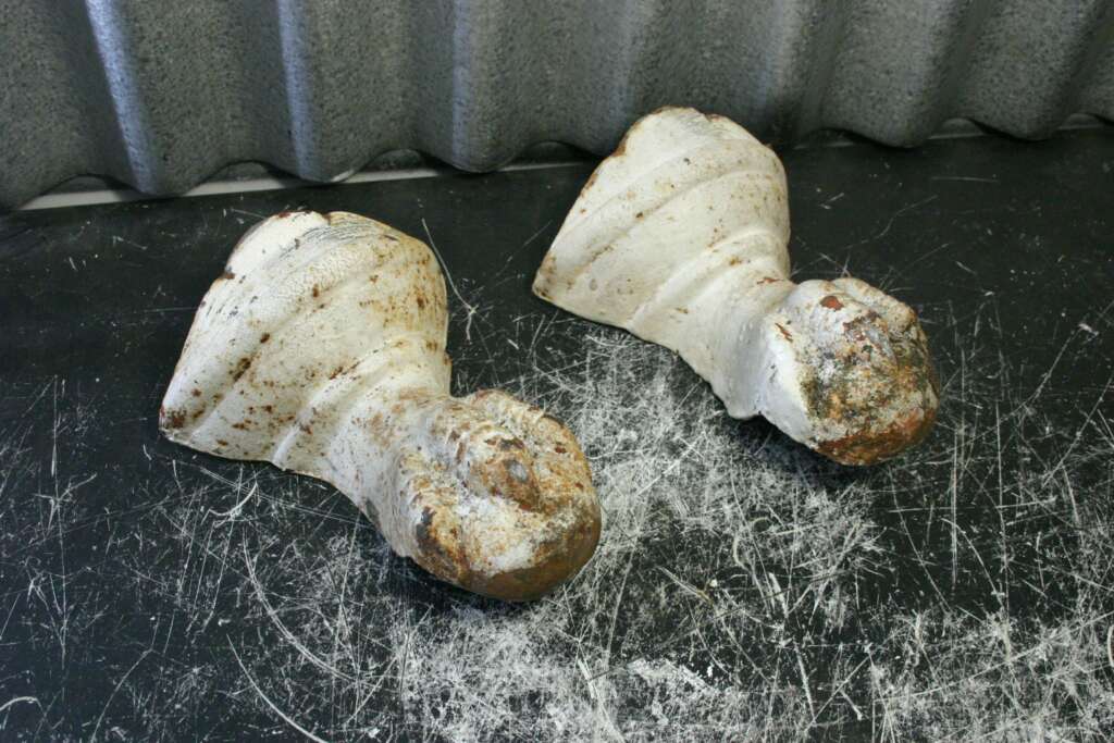 2 pattes de bain en fonte (endommagé)