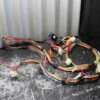 KitchenAid Washer Model KAWS700GQ0 Wire Harness