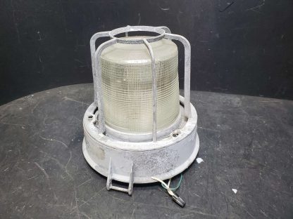 20241031_170525.redimensionné