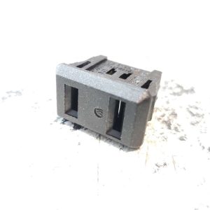 Plug 110v - NEMA Receptacle UL498 1-15R (INALWAYS 0715)