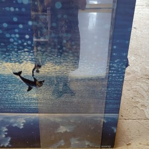 Feuille de Plexiglas 43 1/2 X 17 1/2 Pouces