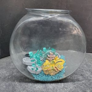 Petit aquarium avec accessoires
