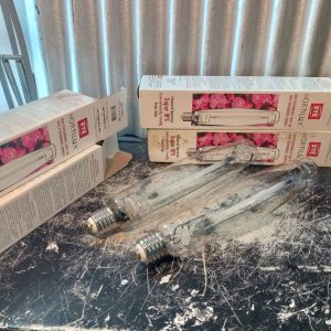 4 x ampoules Hortilux LU1000B (état inconnu)