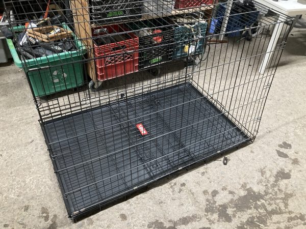 IMG_0279.redimensionné