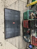 IMG_0278.redimensionné