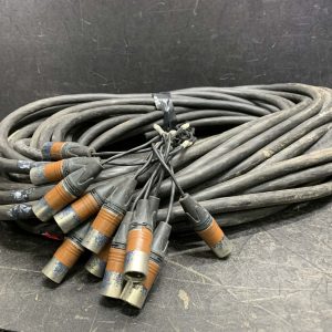 Snake audio 110' (12x)XLR