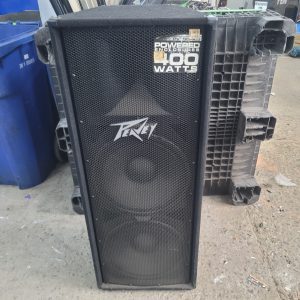 Peavey PV-215D Speaker - functional