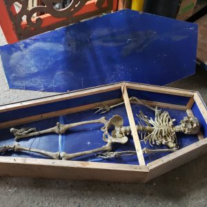 Faux squelette humain dans un cercueil en bois – décoration, Halloween